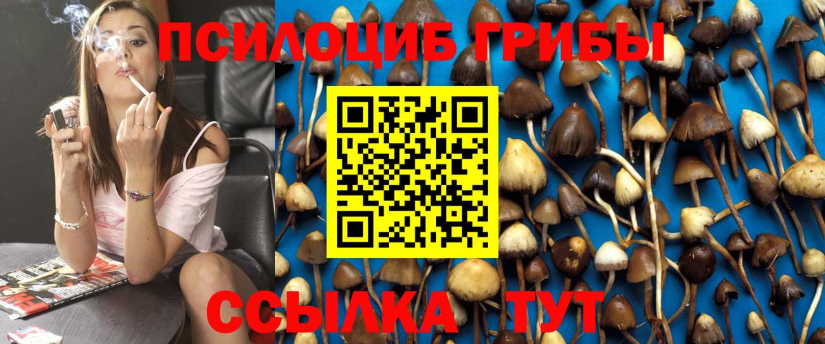 Псилоцибиновые грибы GOLDEN TEACHER Сальск