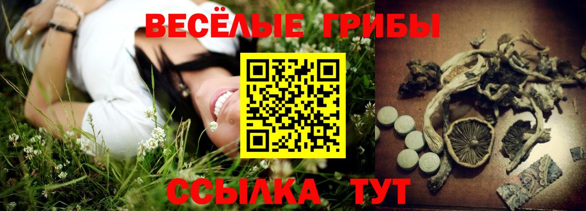 Галлюциногенные грибы MAGIC MUSHROOMS  Вход с VPN  Псилоцибиновые грибы мухоморы  Сальск 